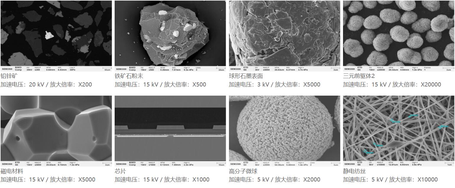 国仪量子 SEM3300钨灯丝扫描电子显微镜应用案例