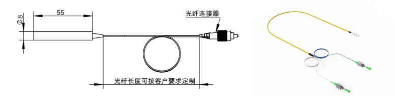 FSS101光学电场探头（单轴）