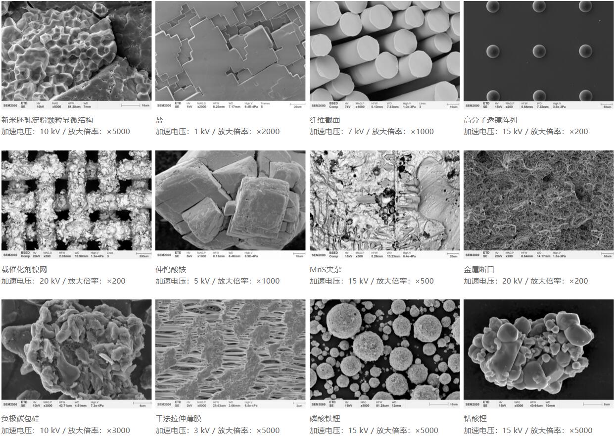 国仪量子 SEM2000钨灯丝扫描电子显微镜