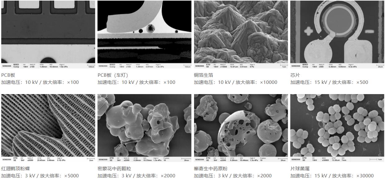 国仪量子 SEM2000钨灯丝扫描电子显微镜