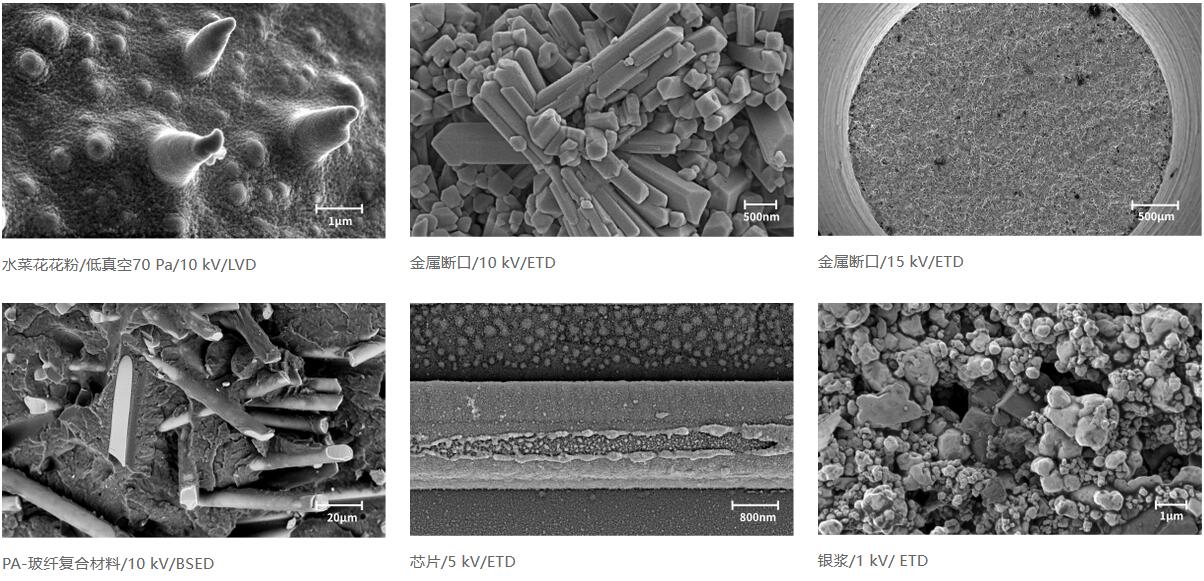 国仪量子 SEM4000Pro场发射扫描电子显微镜